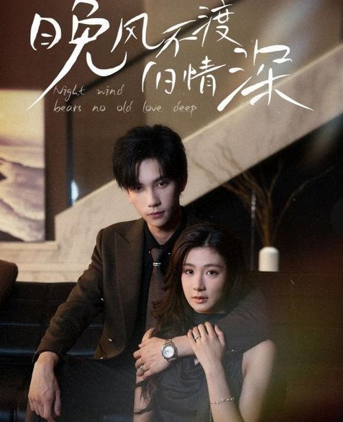 晚风不渡旧情深,岁月流转中的情感纠葛