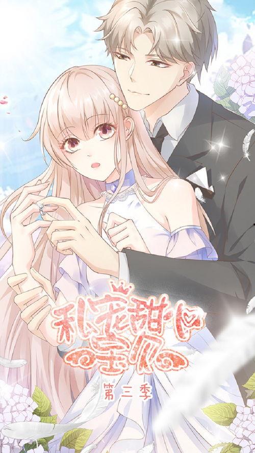 私宠甜心宝贝 第三季,第三季甜蜜升级，爱恋再续