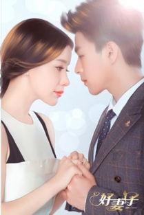 好妻子,家庭和谐的守护者与智慧伴侣