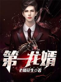 第一杀手龙婿,第一杀手逆袭之路