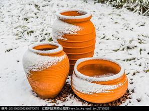 酱菜缸里的光,探寻酱菜缸里的自然奥秘